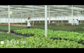 合肥綠葉園林集團宣傳片
